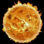 Sun