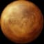 The Venus