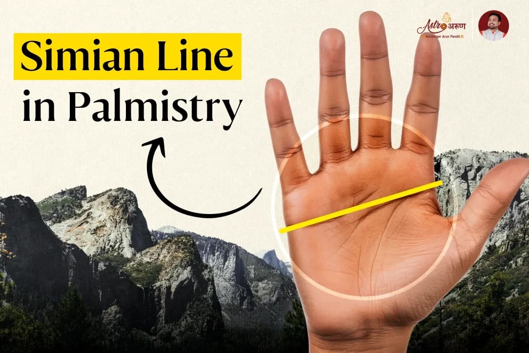 The Simian Line: A Mark of Intensity, Passion, and Unique Destiny