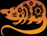 Rat