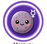 Mercury Transits