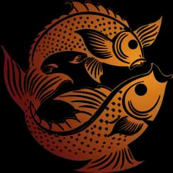 Meen Rashi in English: Pisces Zodiac Sign (मीन)