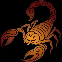 Vrishchik Rashi in English: Scorpio Zodiac Sign (वृश्चिक)