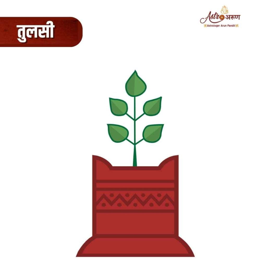 sacred-tulsi-basil-leaves-occult-gurukul-tulsi-vivah-gyaras-ekadashi-best-learning-institute