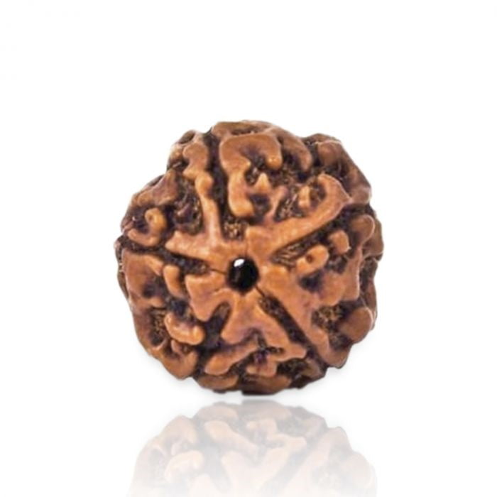 5 mukhi represents the five elements–sky, air, fire, water, earth astro arun pandit