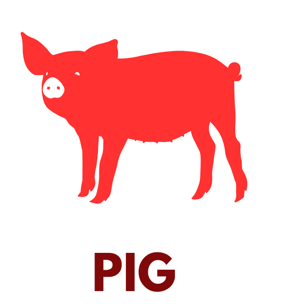 PIG